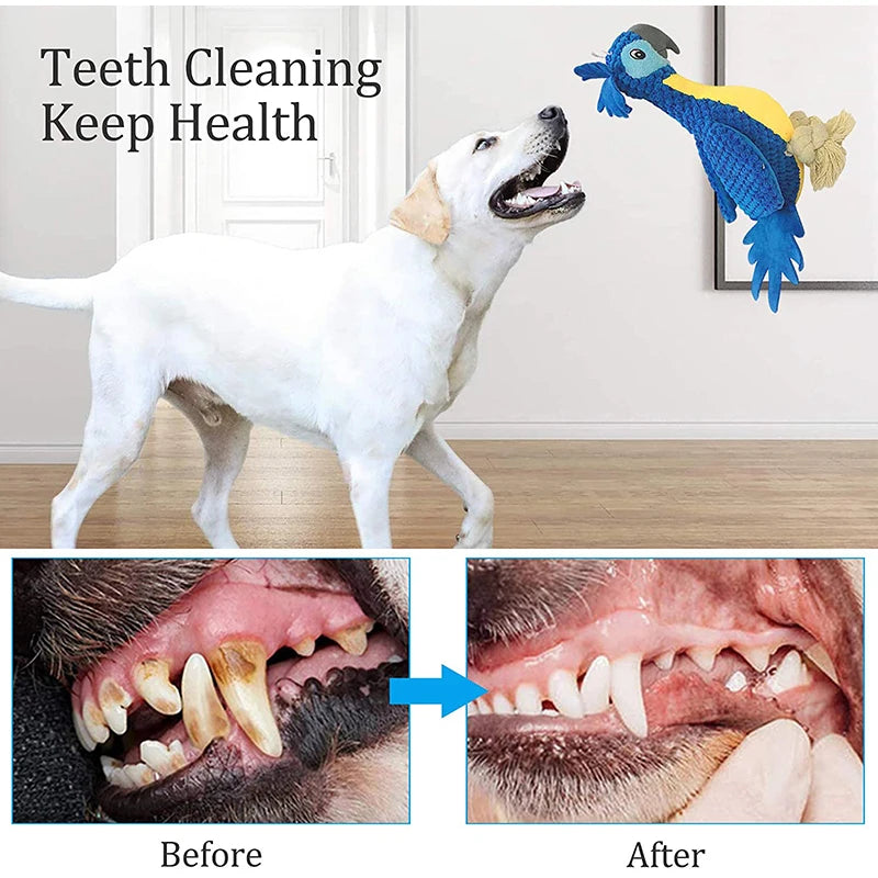 Plush Dog Toys Interactive Squeaky Durable Stuffed Cotton Rope Pet Puppy Toys Teeth Cleaning Embroidery Parrot